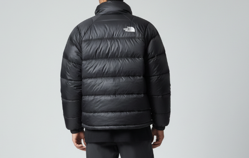 The North Face Men's Hydrenalite Down Jacket