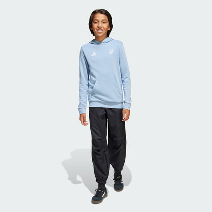 adidas Argentina Anniversary DNA Kids Hoodie