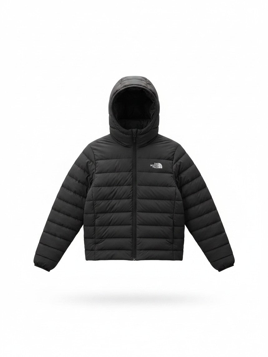 The North Face Men's Aconcagua Hooded Jacket