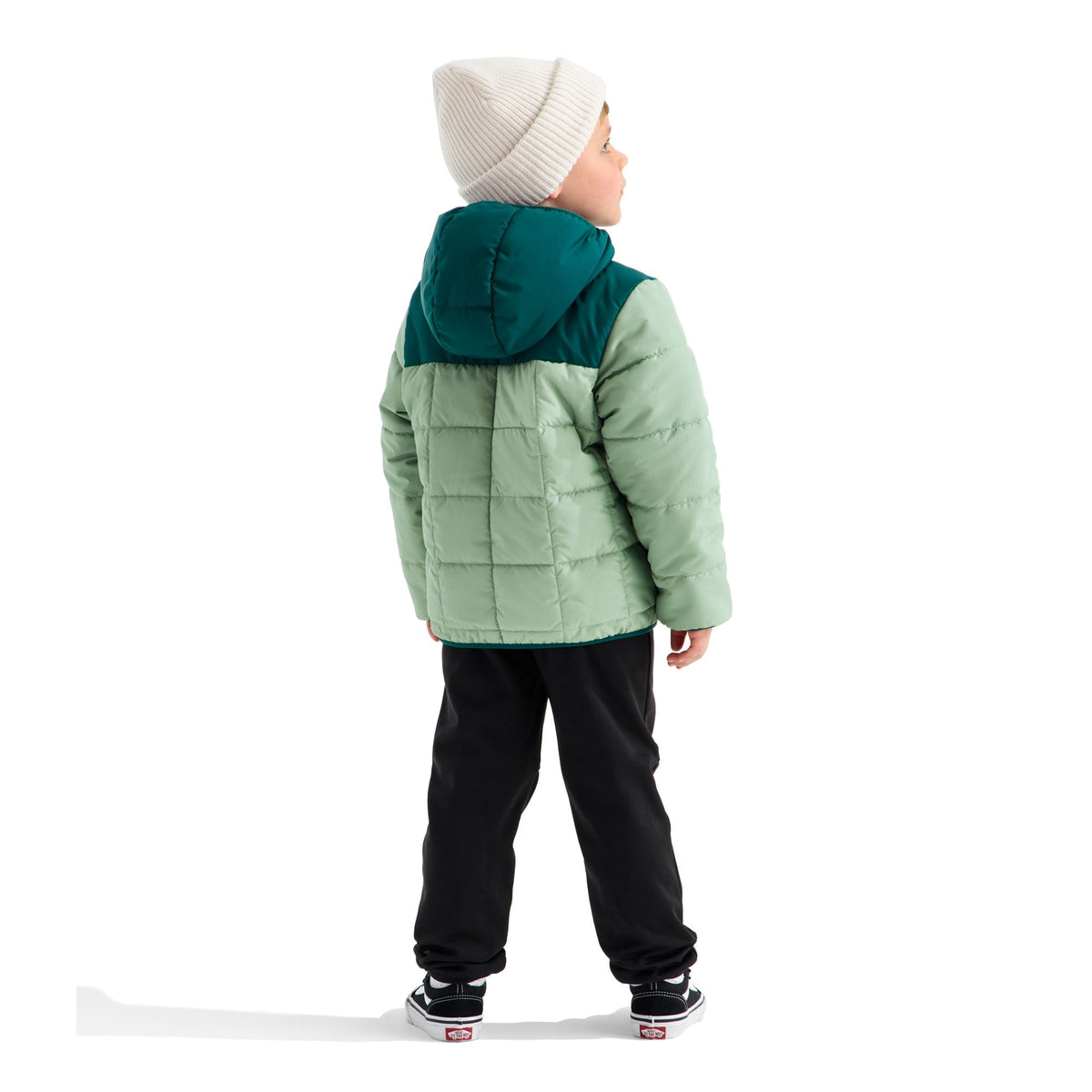 The North Face Boys' Reversible Shasta Full Zip Hooded Jacket