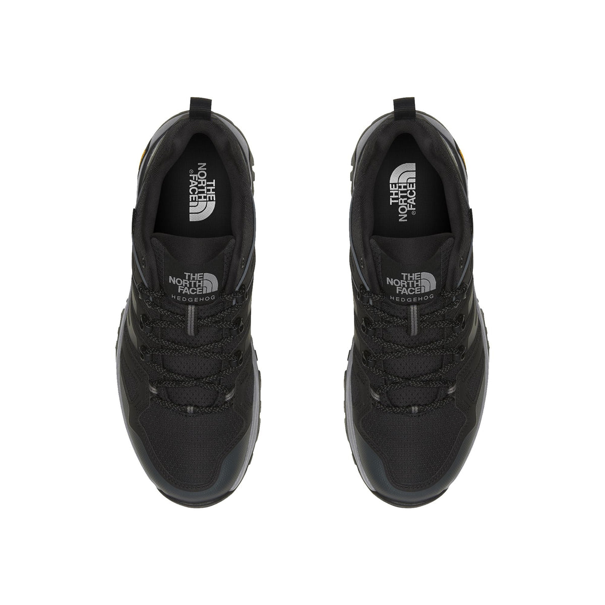 The North Face Men's Hedgehog GORE-TEX Hiking Shoe