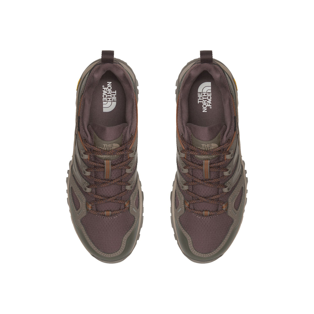 The North Face Women's Hedgehog GORE-TEX Hiking Shoe
