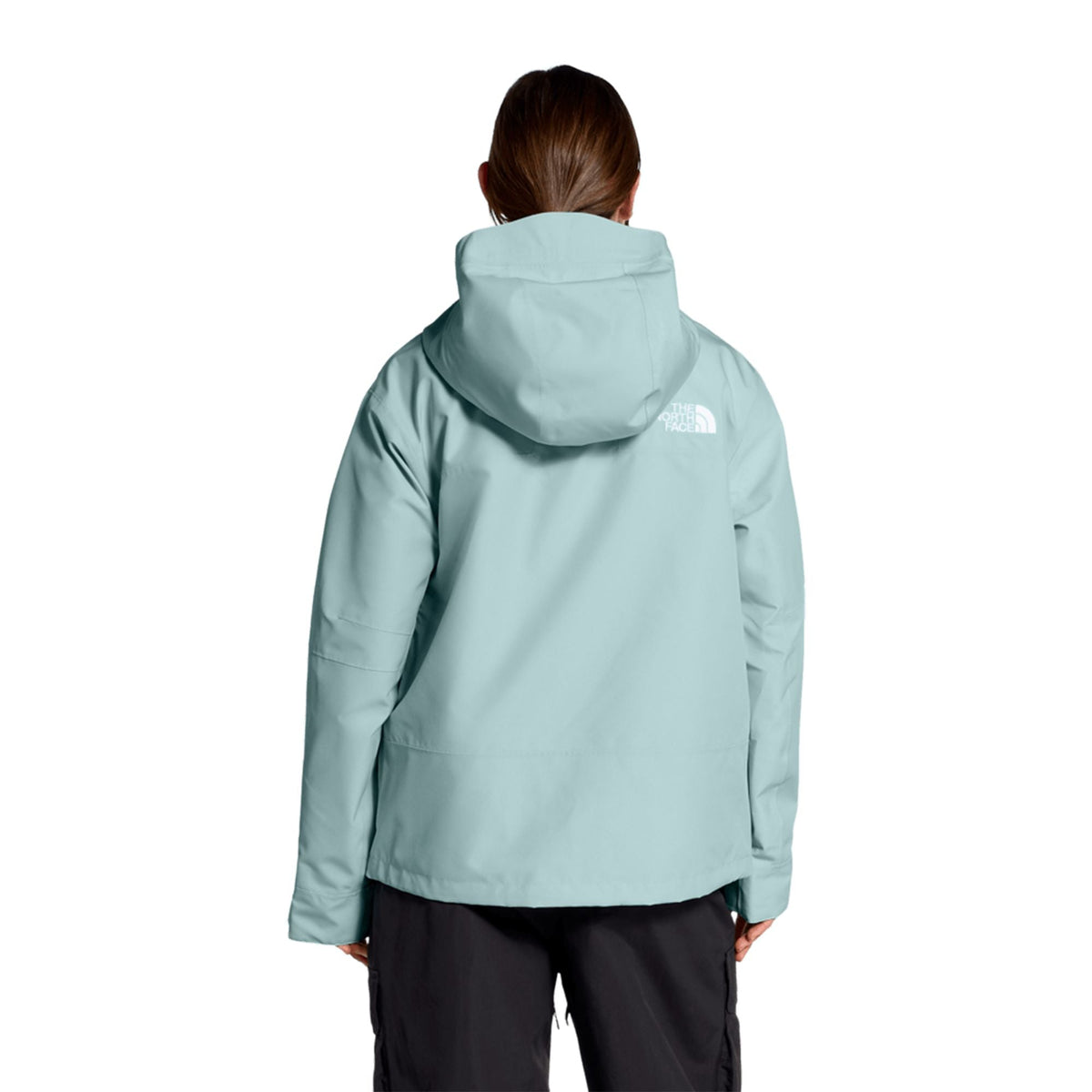 The North Face Women's GTX Hex Jacket