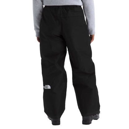 The North Face Women's GTX Hex Pant