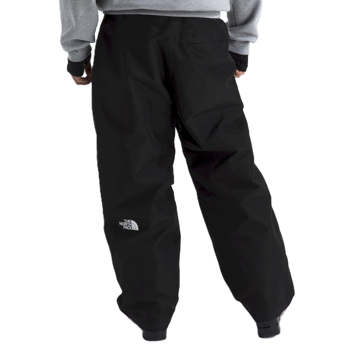 The North Face Men's GTX Hex Pant