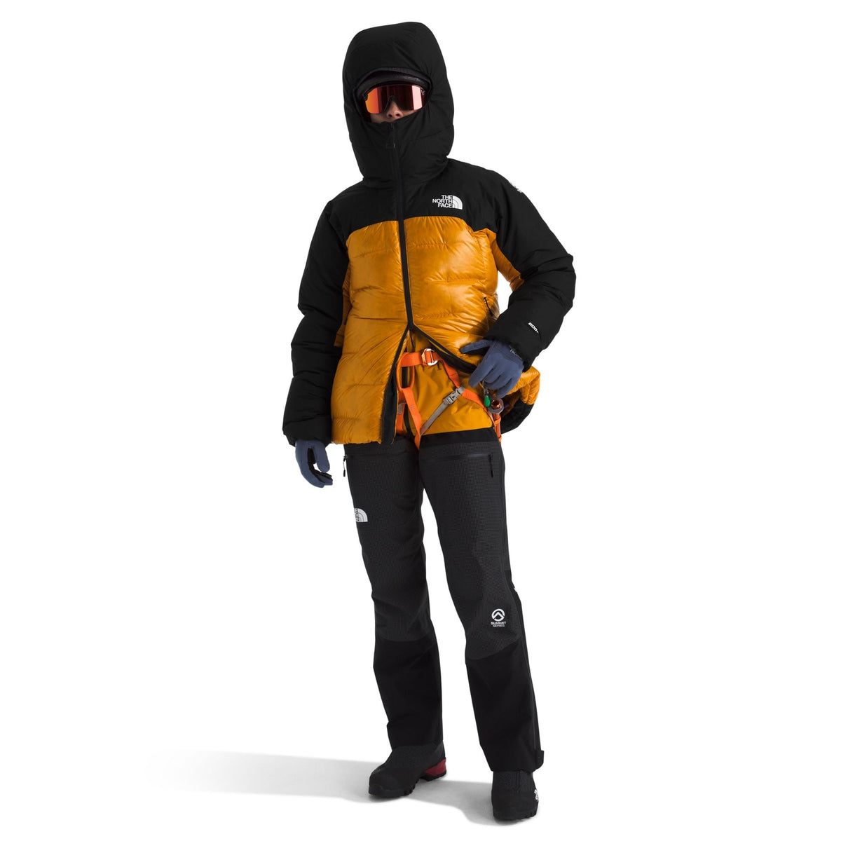 The North Face Women's Summit Series Himalayan Down Parka
