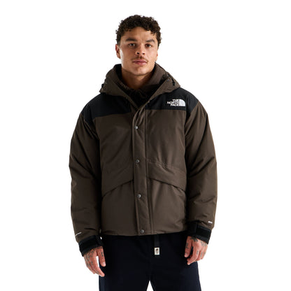 The North Face Men's Mountain Down Jacket