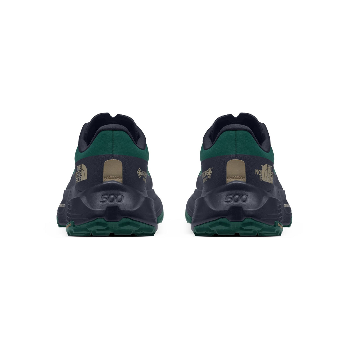 The North Face Men's Altamesa 500 V2 GORE-TEX Trail Shoe