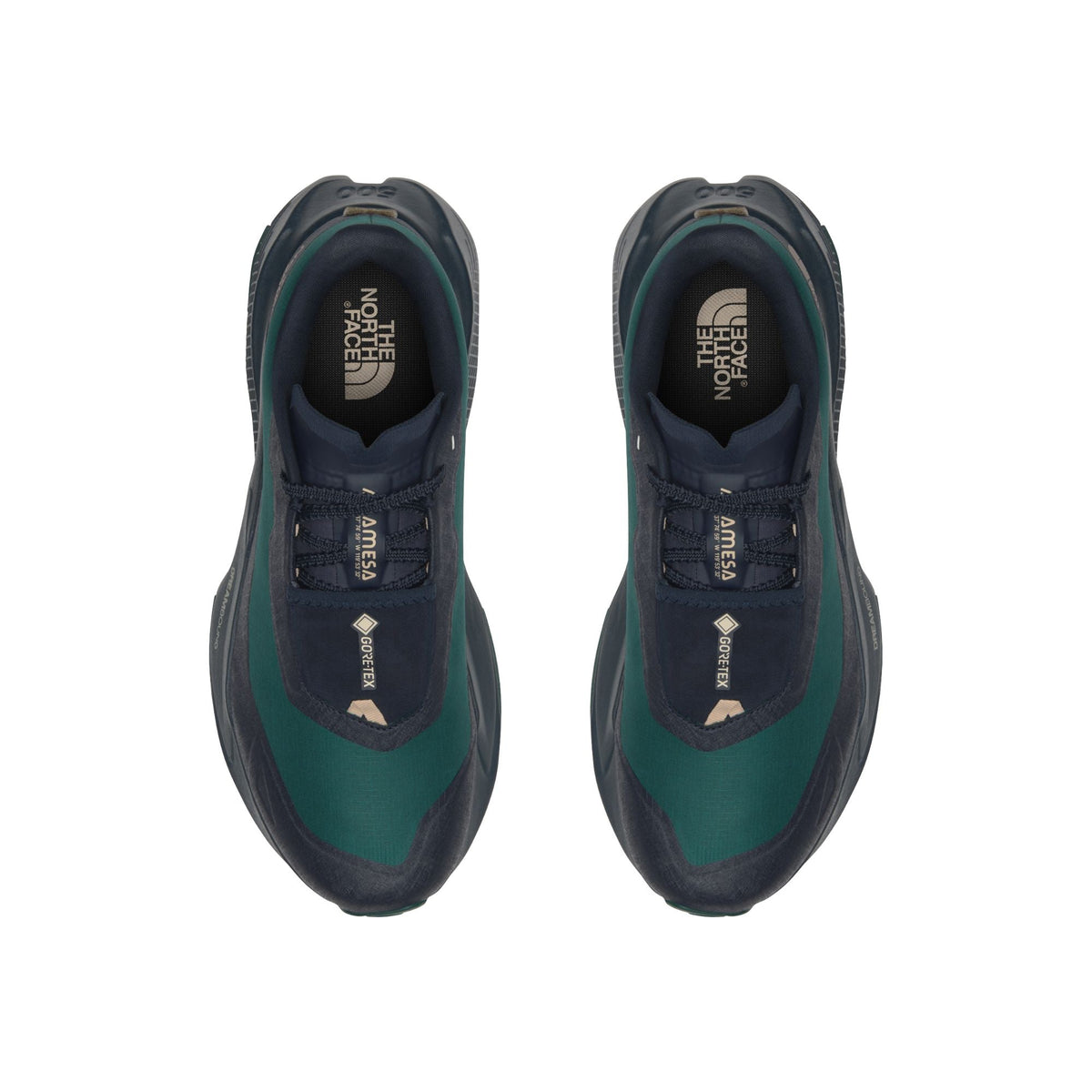 The North Face Men's Altamesa 500 V2 GORE-TEX Trail Shoe