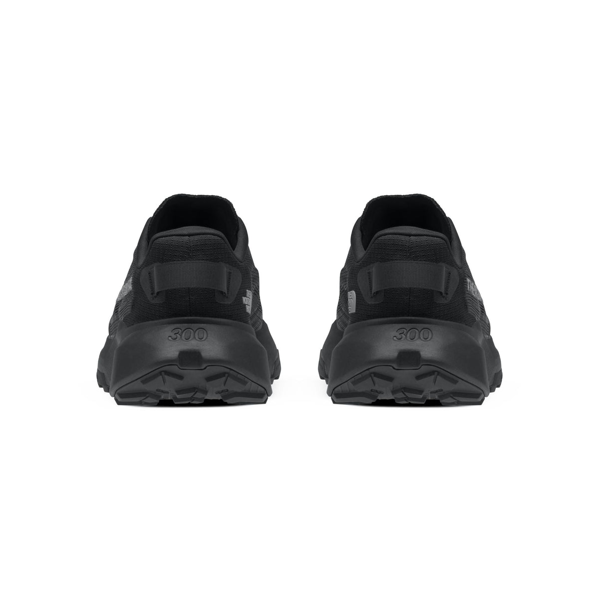 The North Face Women's Altamesa 300 V2 Trail Shoe