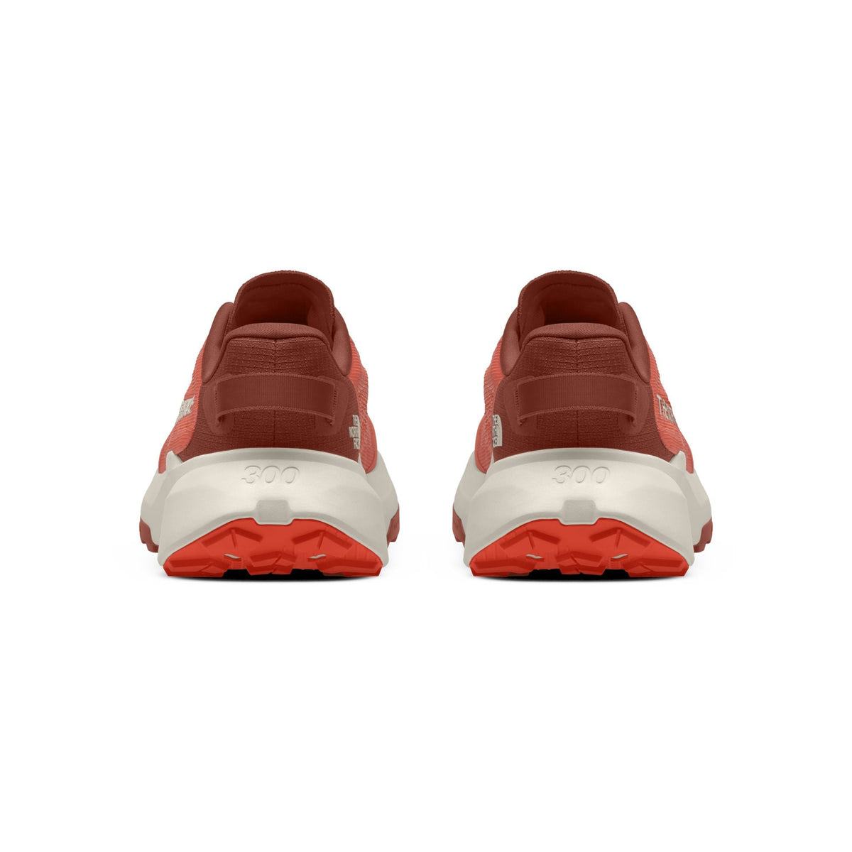 The North Face Men's Altamesa 300 V2 Trail Shoe