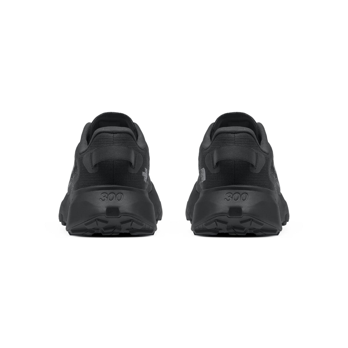 The North Face Men's Altamesa 300 V2 Trail Shoe