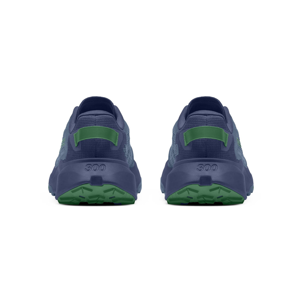 The North Face Men's Altamesa 300 V2 Trail Shoe