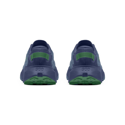 The North Face Men's Altamesa 300 V2 Trail Shoe
