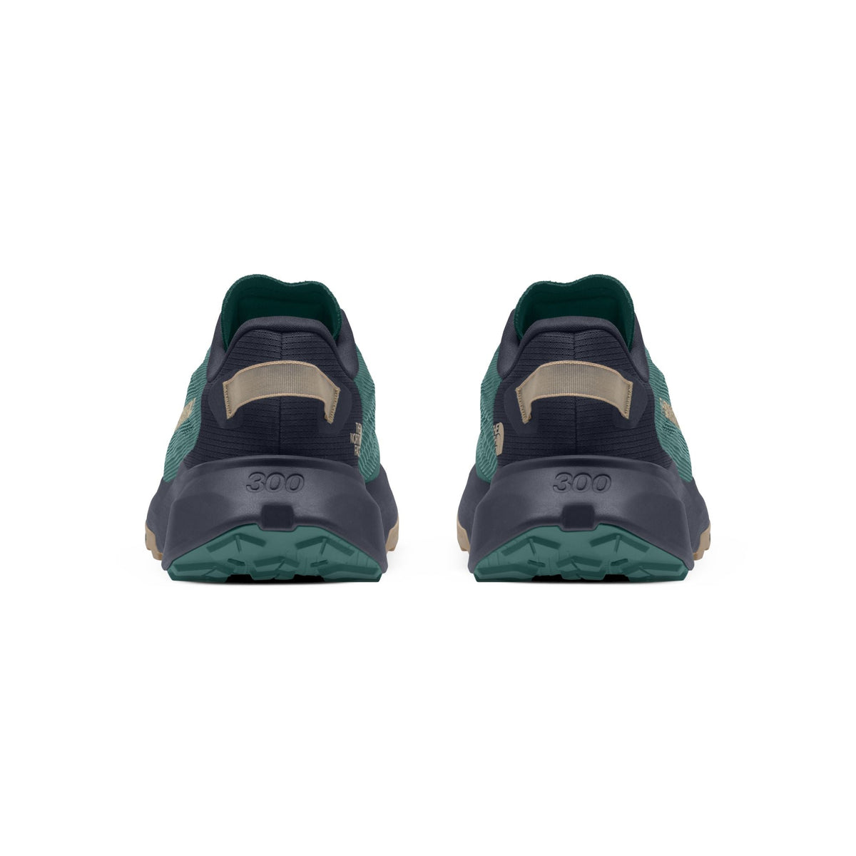 The North Face Men's Altamesa 300 V2 Trail Shoe