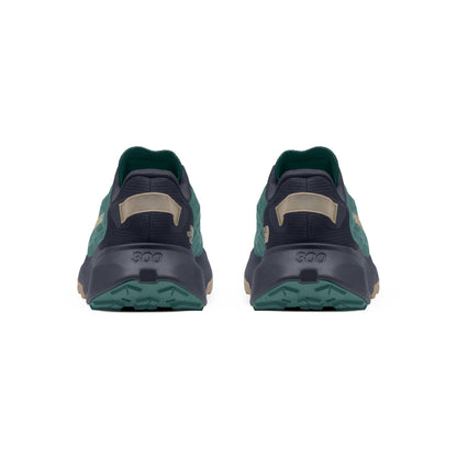 The North Face Men's Altamesa 300 V2 Trail Shoe