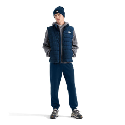 The North Face Men's Aconcagua Vest