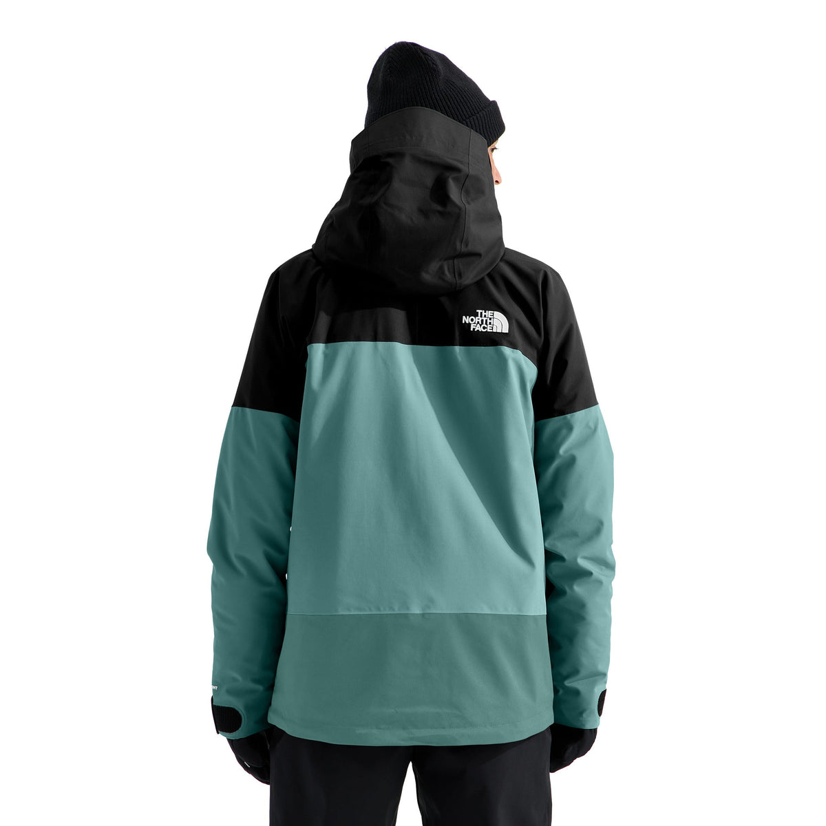 The North Face Men's Chakal Jacket