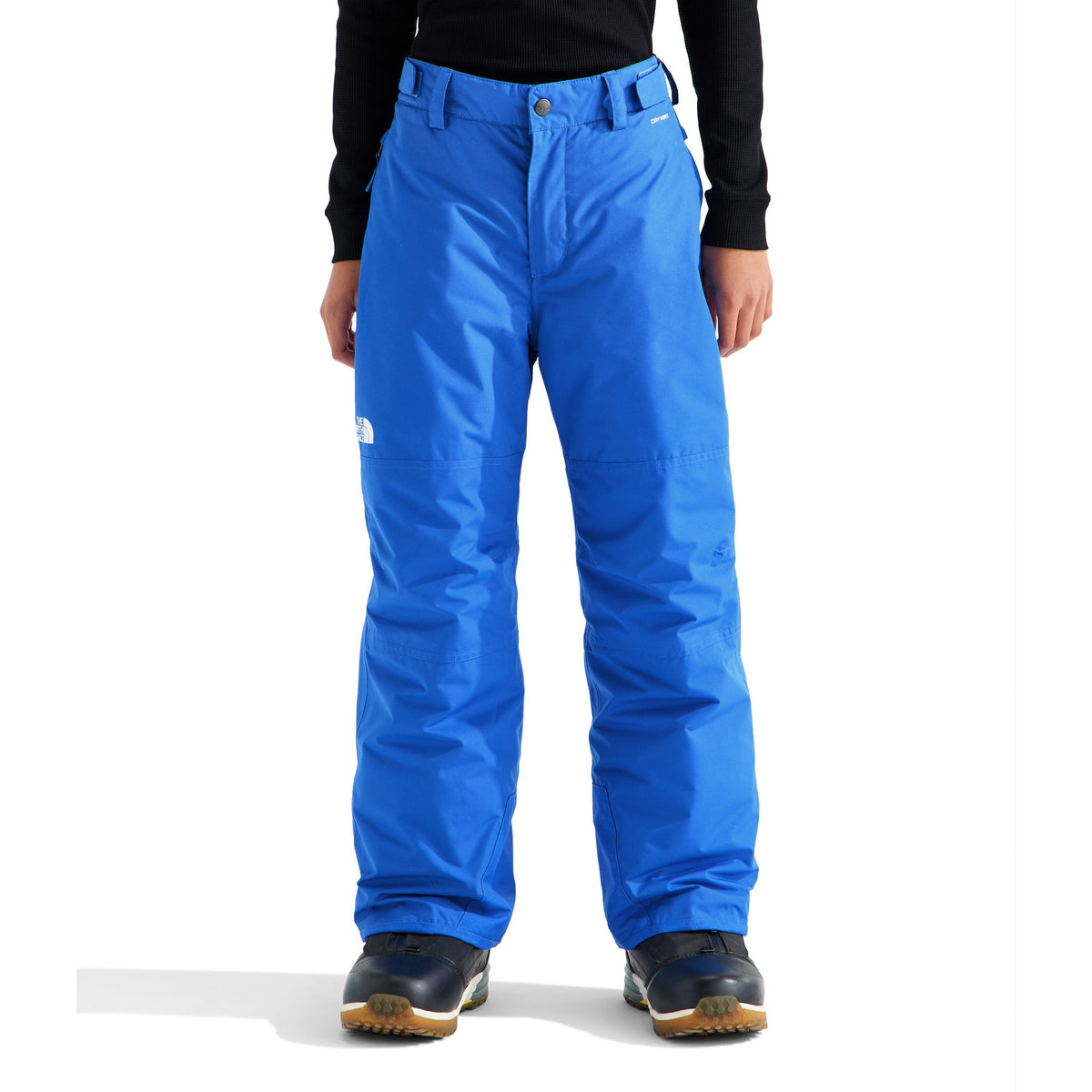 The North Face Boys' Freedom Insulated Pant