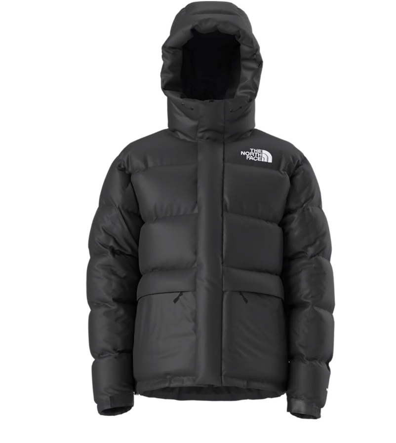 The North Face Men's Hmlyn Down Parka