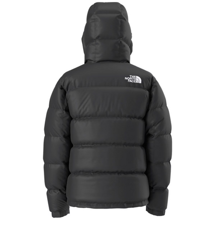 The North Face Men's Hmlyn Down Parka