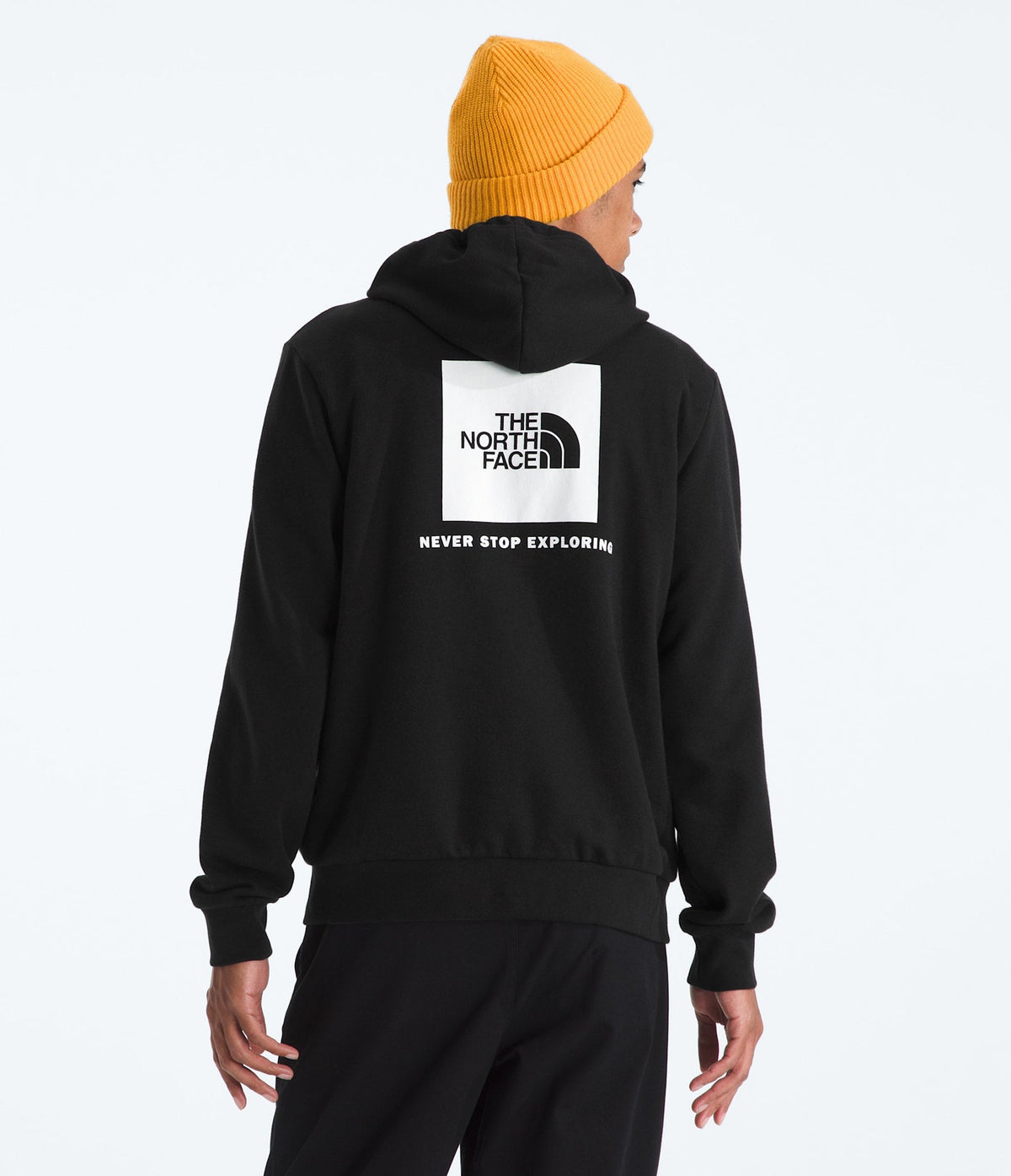 The North Face M Evolution Box Nse Reg Hoodie